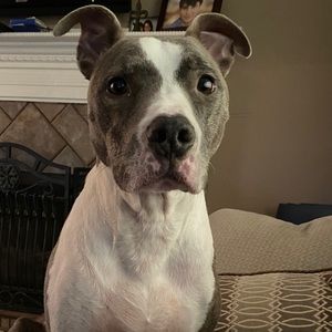 Meet your Posher, Julie